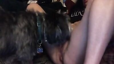 Casada com seu cão