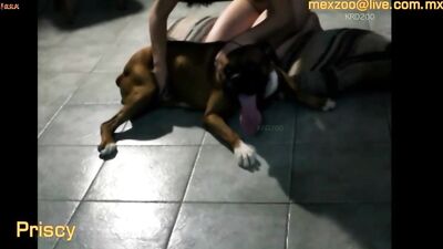 Mexzoo New zoo videos