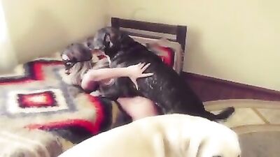 Hot dream Sonya & 2 dogs