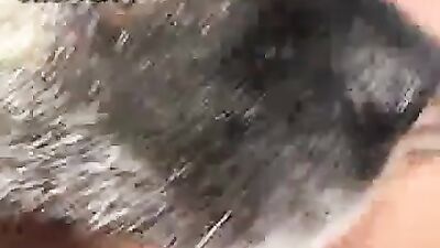 Horny Wife Fucks Hungry Dog While Husband Watches