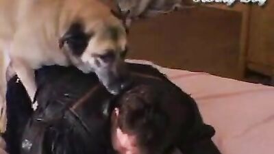 Horny Wife Fucks Hungry Dog While Husband Watches