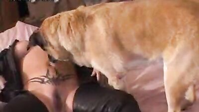Horny Wife Fucks Hungry Dog While Husband Watches