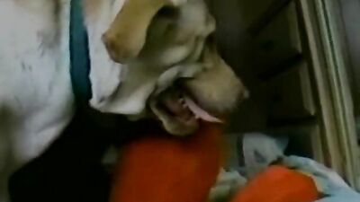 Mature Milf Shares Her Throat With Hung Pup