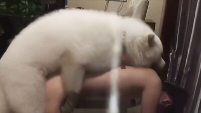 Naughty Chinese Cutie Seduces Doggy Friend in Lewd Makeout Session