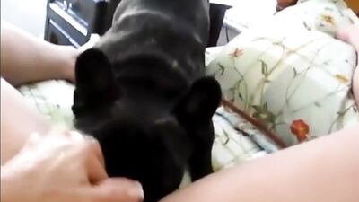 HotMomDudhArpitas Forbidden Shepherd Lust