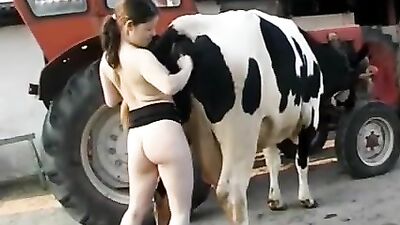 Fisting a cow at the farm