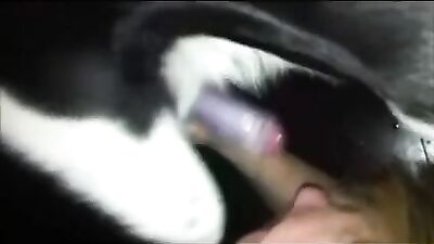 Naughty Housewife Swallows Massive Cum Load