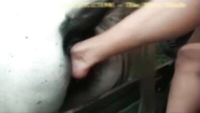 Woman fist mare cunt