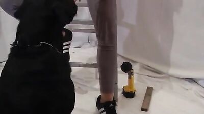 Compilation of Latin girls sucking tasty dog boners
