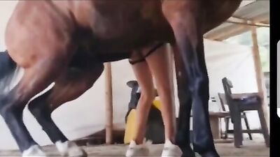 The stallion and the blonde, perfect sex