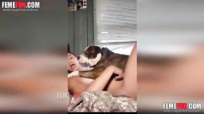 Furry Fantasies: Naughty Girl Gets Lucky with Big Dirty Dog