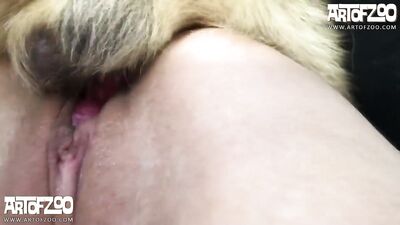 Doggystyle Cheerleader Gets Face Fucked By Hung Stud In Public