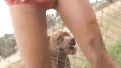 Bitch covered in dog food wants to fuck with the animal