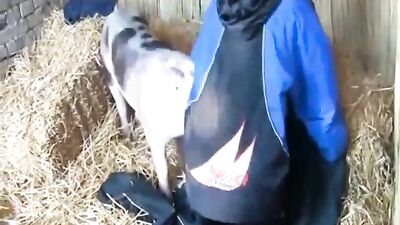 Pene de cerdo follando a esa jugosa dama