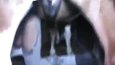El pene animal es lo único que quiere este tipo