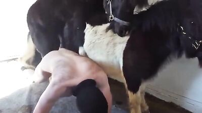 chico fodendo con caballo