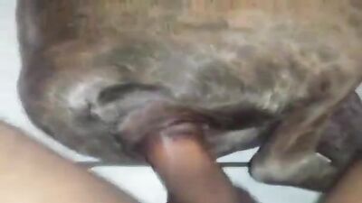 Hot Farmhand Fucks Feisty Farmgirl Goat
