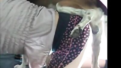 travesti follando con perro