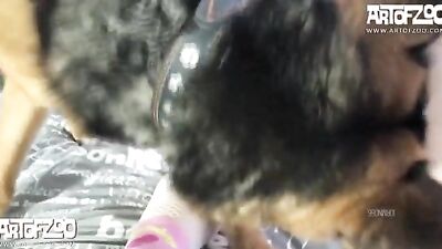 Hungry Pup Gets Satisfied With Tinys Sweet Treat