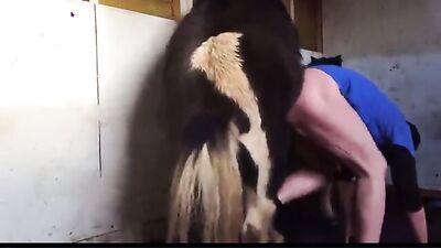 Horny Stud Fucks Horse In Steamy Threesome Action