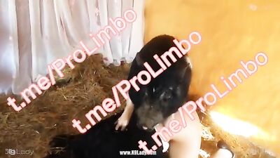Selene k9lady