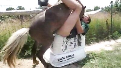 missionary horse