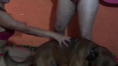 Playing with Gina