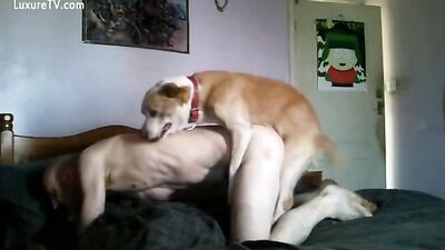 Paw-some Threesome: Girl & Dog Lick My Cock!
