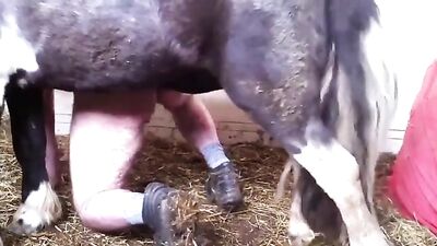 el caballo enena homoxeual