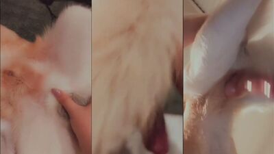 Sweet Innocence Turns to Lewd Lust on Canine Playdate