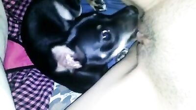 Teens Tender Pussy Licked by Loyal Dog
