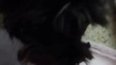 Gabis Cunt Licked Slobbery Pup Offer