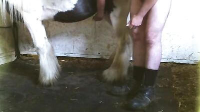 Daring Stallion Lover Gets Deepthroat Blowjob