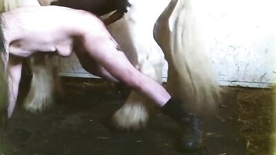 Daring Stallion Lover Gets Deepthroat Blowjob