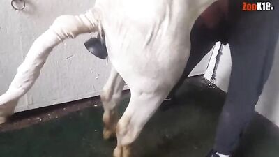 caballo con cosolador folla gay