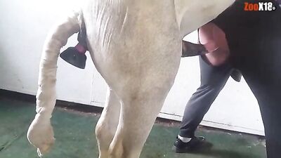 caballo con cosolador folla gay