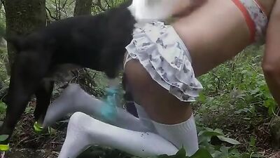 travesti enculada por perro