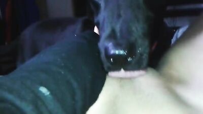 Foxy Femboy Fucks Hot Dog, Licks & Swallows Cum