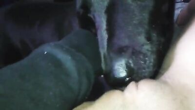 Foxy Femboy Fucks Hot Dog, Licks & Swallows Cum