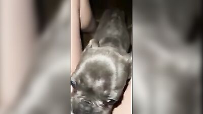 KBritty sneaks outside and has fun with her pup