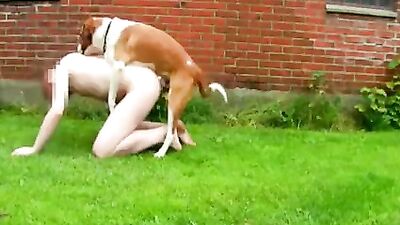 Chico gay se deja follar el culo por su perro