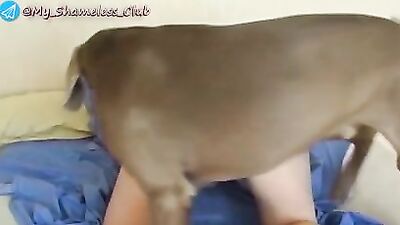 Hard fuck