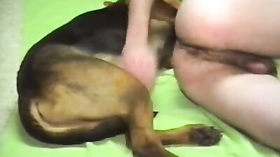 chico con perro