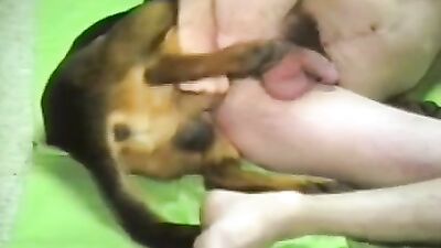 chico con perro