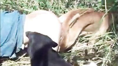 amigo con dos perro