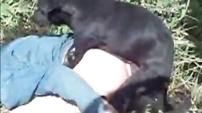 amigo con dos perro