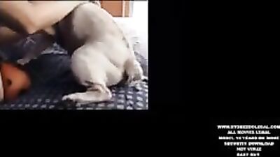 MOM REAL BESTIALITY MOVIE XXX