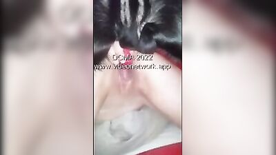 Dog Knot cum