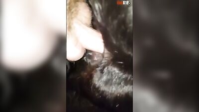 cow / calf anal compilation part.1