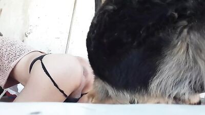 mi perro y yo:]